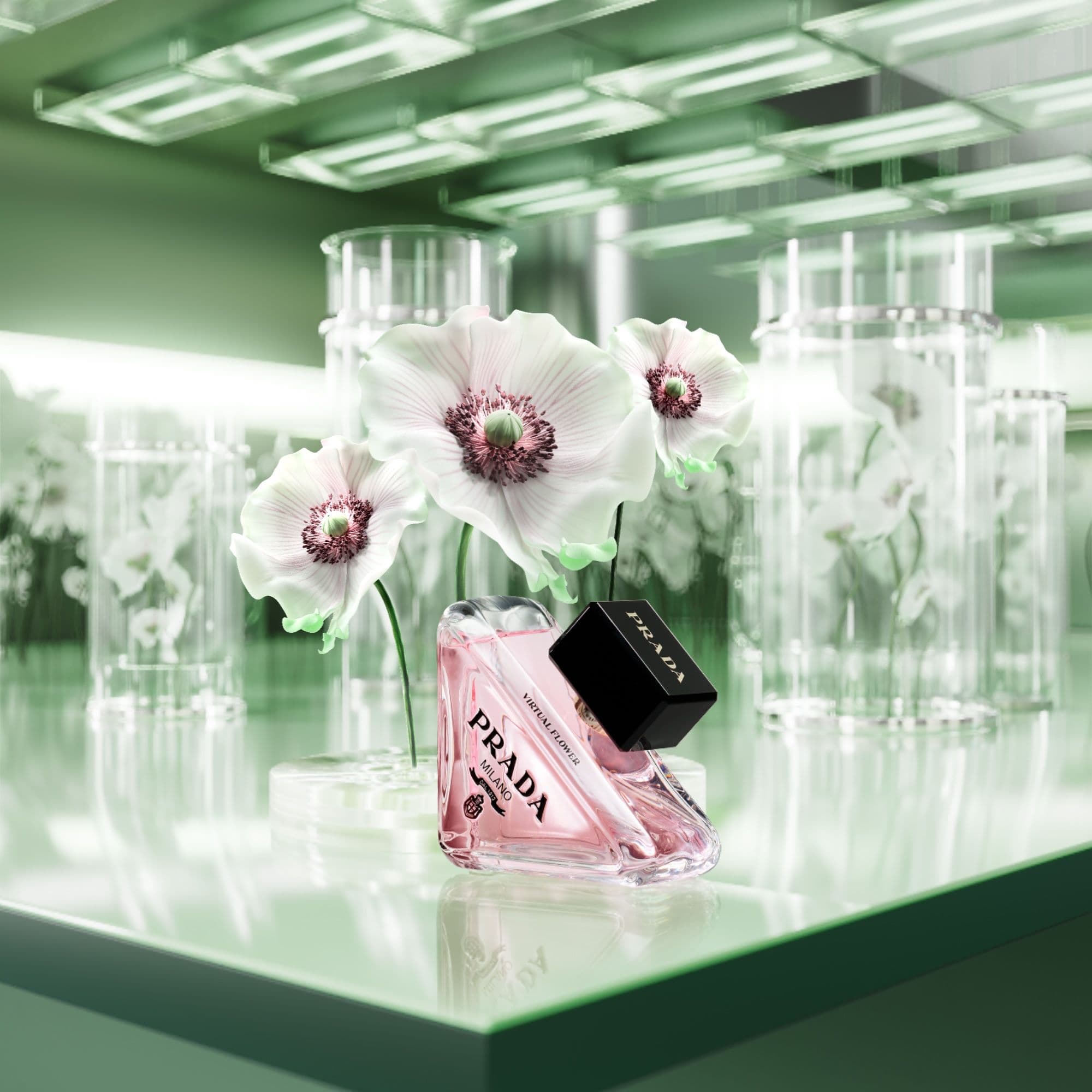 Prada Beauty Paradoxe