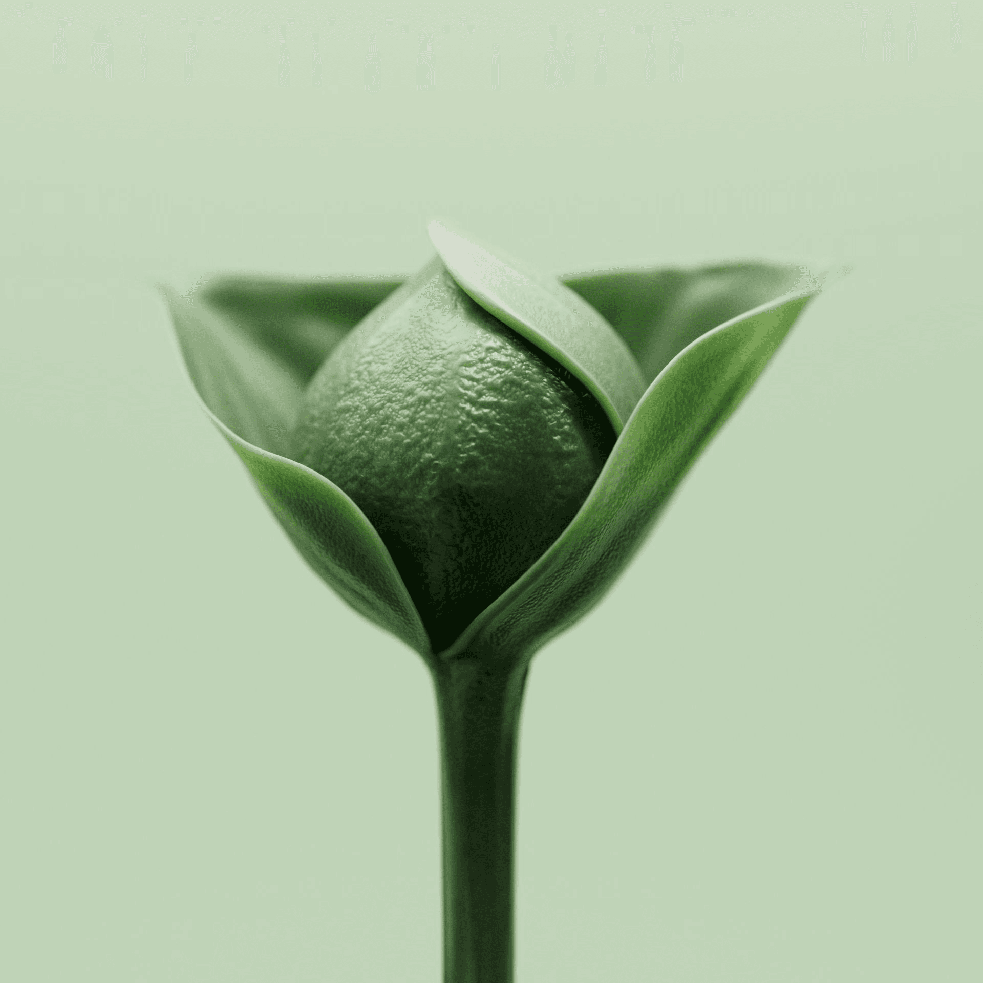 flower1