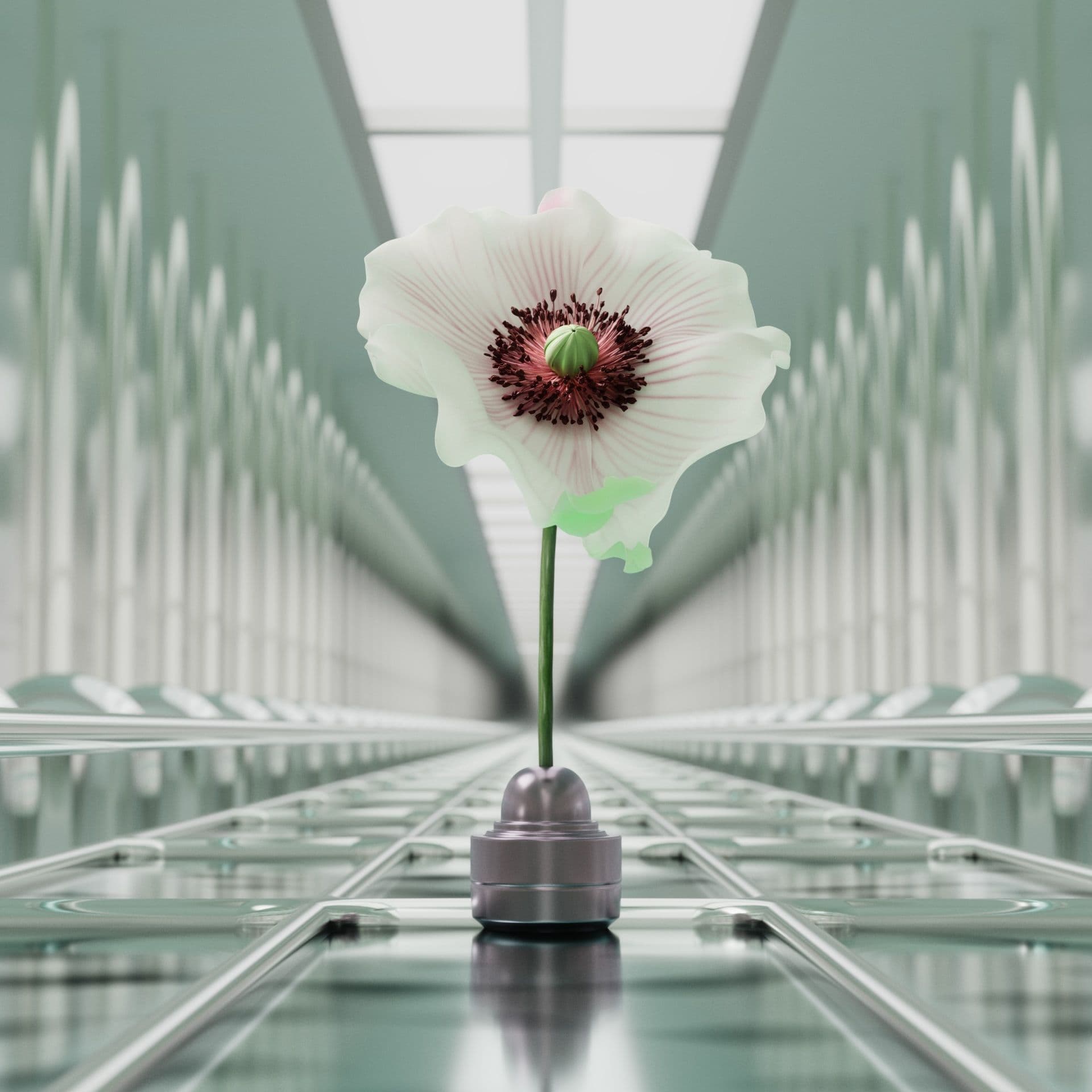 Prada Beauty Paradoxe